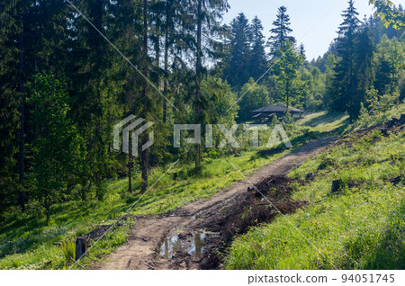 Pedestrian path in Slovakia to tripoint of Slovak, Czech Republic, and Poland. Road to border of Slovakia, Czech Republic, and Poland. 94051745