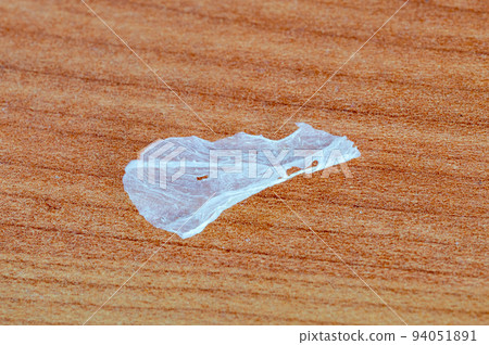 Human skin flake after sunburn. Human skin flake after sunburn. 94051891