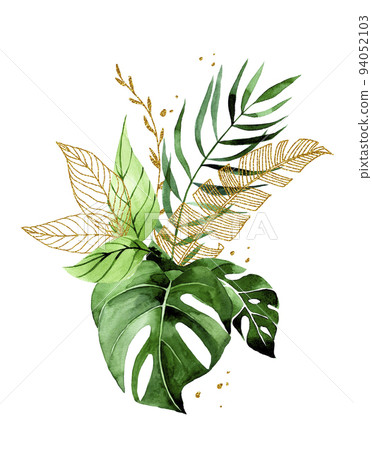 watercolor drawing. bouquet of tropical leaves... - Stock Illustration ...