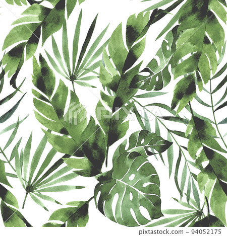 watercolor seamless pattern with tropical green leaves on white background. palm leaves, monstera, banana leaves. rainforests. 94052175