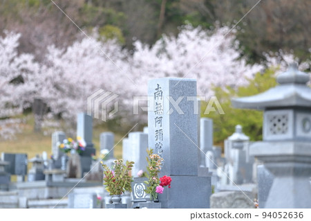 櫻花盛開的墓地 櫻花盛開的墓地 94052636