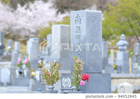 A cemetery where cherry blossoms bloom 94052645