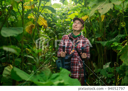 woman traveler on the trail among the giant weeds on the island of Kunashir 94052797