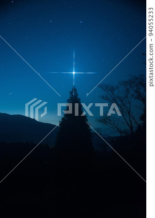 有閃亮星星的聖誕樹 94055233