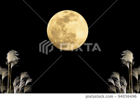 An image of autumn and moon viewing. Mid-Autumn Moon and pampas grass. 94056496