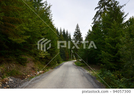 A path in a wild forest. Forest landscape in early autumn 94057300