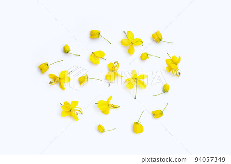 Cassia fistula flower on white background. 94057349
