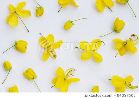 Cassia fistula flower on white background. Cassia fistula flower on white background. 94057505