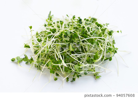 Organic kale sprouts. Healthiest vegetables concept 94057608