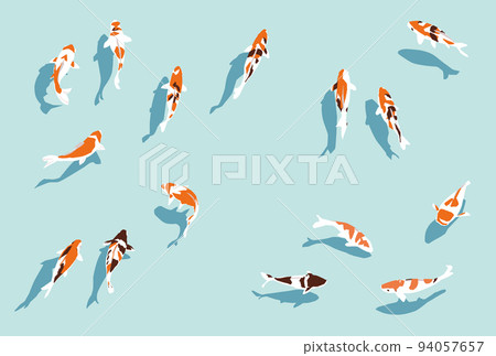 各種Nishikigoi插圖 各種Nishikigoi插圖 94057657