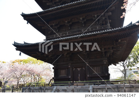 日本京都府京都市,春天的東寺,盛開的櫻花和國寶五層塔 日本京都府京都市,春天的東寺,盛開的櫻花和國寶五層塔 94061147