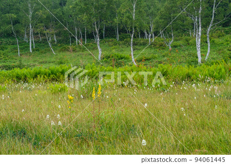 Wataruge moor Wataruge moor 94061445