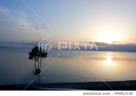 日落和紅樹林 94062536