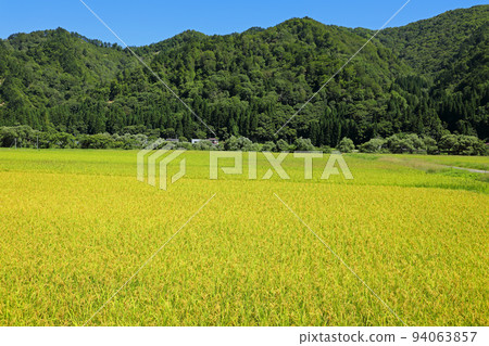 A village at the foot of a mountain with yellow rice fields and satoyama, Tadami Town, Fukushima Prefecture A village at the foot of a mountain with yellow rice fields and satoyama, Tadami Town, Fukushima Prefecture 94063857