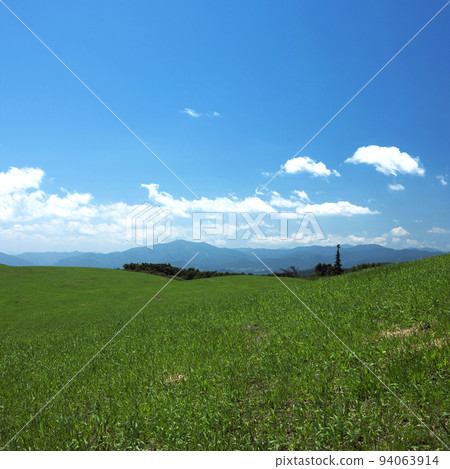 grassland grassland 94063914