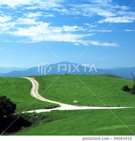 grassland grassland 94063918