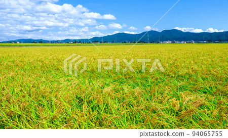 Autumn countryside 94065755