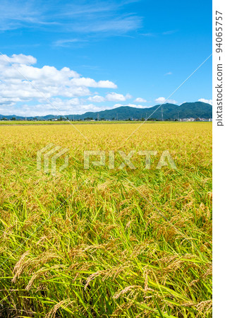 Autumn countryside 94065757