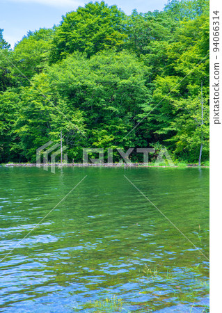 Lake Tamahara, Tamahara Dam, lakeside scenery, early summer season Lake Tamahara, Tamahara Dam, lakeside scenery, early summer season 94066314