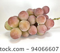 Grape  94066607