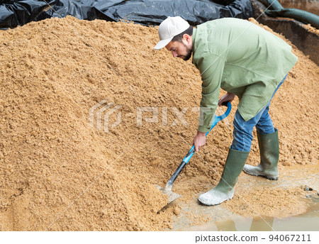Farmer digging heap of brewer's spent grain 94067211