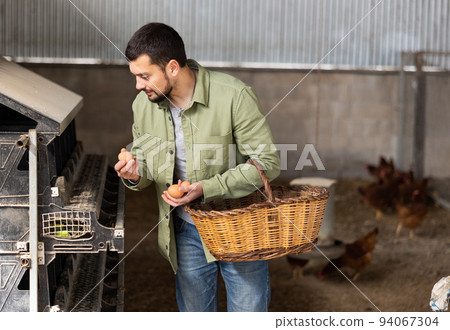 Man farmer collecting fresh eggs at henhouse 94067304