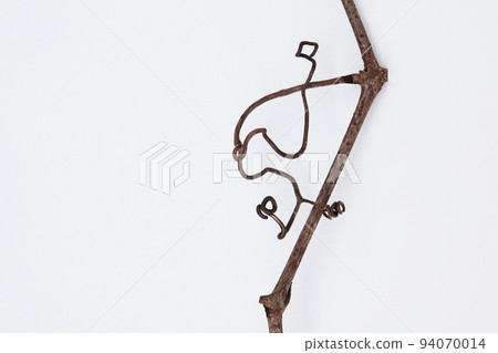 感謝生命的奇蹟,讓枯萎的藤蔓留下瞭如此神秘的美麗! 感謝生命的奇蹟,讓枯萎的藤蔓留下瞭如此神秘的美麗! 94070014