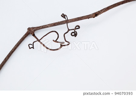 Thanks to the wonders of life for the withered vines that left behind such a mysterious beauty! 94070393