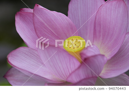 Hojuji Temple Hualien 94070443