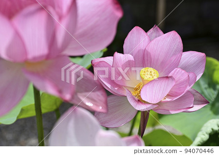 Hojuji Temple Hualien 94070446