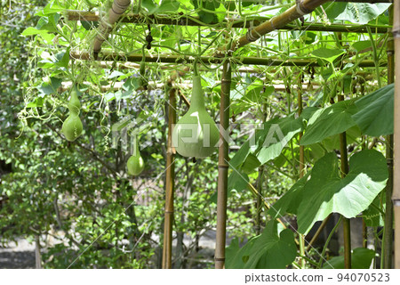 豐國神社千里葫蘆 94070523