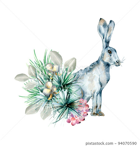 Christmas composition of coniferous and hare watercolor illustration isolated on white Christmas composition of coniferous and hare watercolor illustration isolated on white 94070590