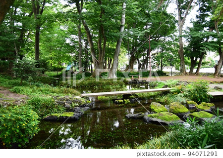 Mishima City, Shizuoka Prefecture Shirataki Park waterside walking path and fresh greenery 94071291