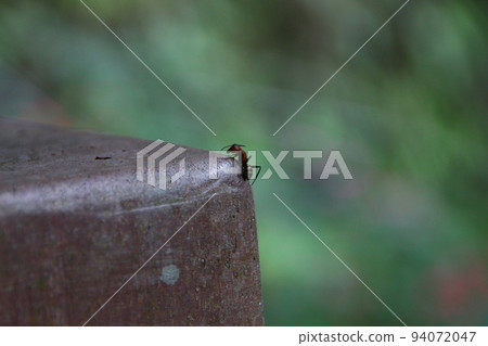 Caterpillar 94072047