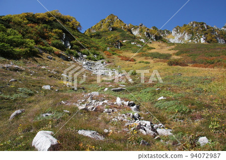 Senjakiken在秋天捲曲 94072987