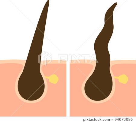 直發和捲髮的插圖 94073086