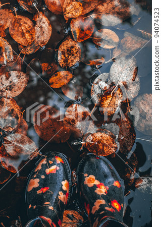 Colorful autumn leaves in a puddle, floating autumn leaves. Autumn season leaves in a rain puddle. Colorful autumn leaves in a puddle, floating autumn leaves. Autumn season leaves in a rain puddle. 94074523