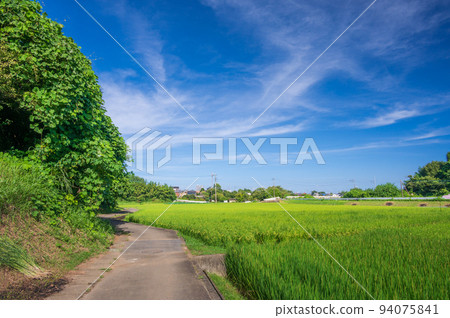 A road through the countryside of Nakaogino, the original scenery of Atsugi 94075841