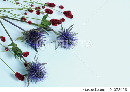 刺參和地榆花架 94078428