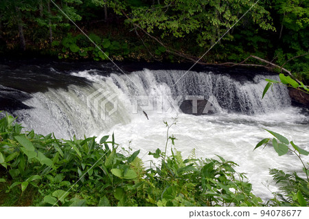 Climbing a cherry tree waterfall Climbing a cherry tree waterfall 94078677