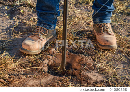 Low section agronomy specialist performing soil sampling at sunrise 94080868