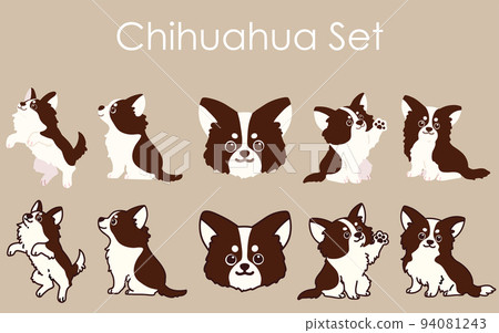 Simple and cute Chihuahua illustration set with/without main line Simple and cute Chihuahua illustration set with/without main line 94081243