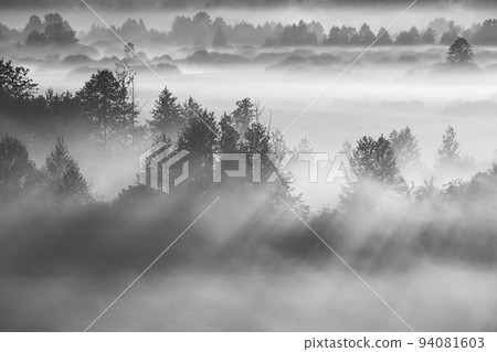 Mysterious Morning Time. Aerial View Amazing Misty Plain Landscape. Morning Fog Illuminated By Sun Covers Plain Landscape. Black And White Retro Bw Black White. Enchanted Morning Sun Shines On Plain 94081603