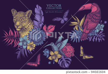 Tropical animals vintage illustrations collection. Hand drawn logo designs with leopard, hummingbird, toucan, rajah brooke's birdwing, african giant swallowtail, monstera, banana palm leaves 94081604