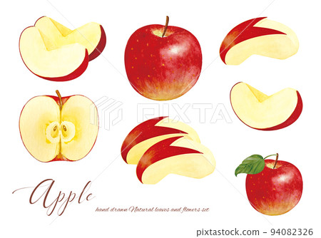 切熟蘋果水彩素材 94082326