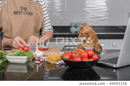 The cat and her owner prepare food by looking at the recipe in the laptop. 94083156
