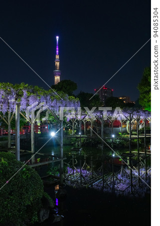 江東區,東京,晚上的龜戶天神社,紫藤節 江東區,東京,晚上的龜戶天神社,紫藤節 94085304