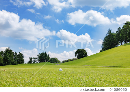有綠草的高爾夫球場 94086060