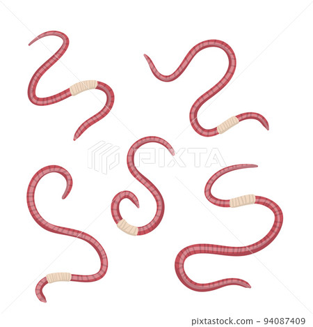 Set of earthworms. Crawling insects. Pink worm. Set of earthworms. Crawling insects. Pink worm. 94087409