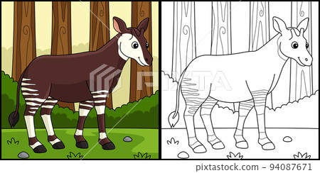 Okapi Animal Coloring Page Colored Illustration 94087671